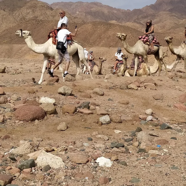 Coloured Canyon Jeep Safari from Taba with Lunch in Taba — experience image 19 of 20