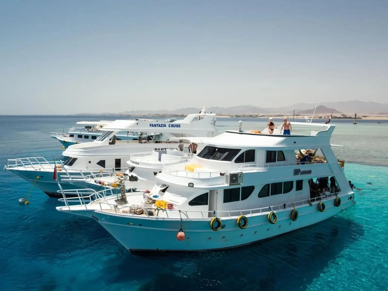 Tiran Island Snorkeling Cruise from Sharm with Lunch experience in Sharm El Sheikh