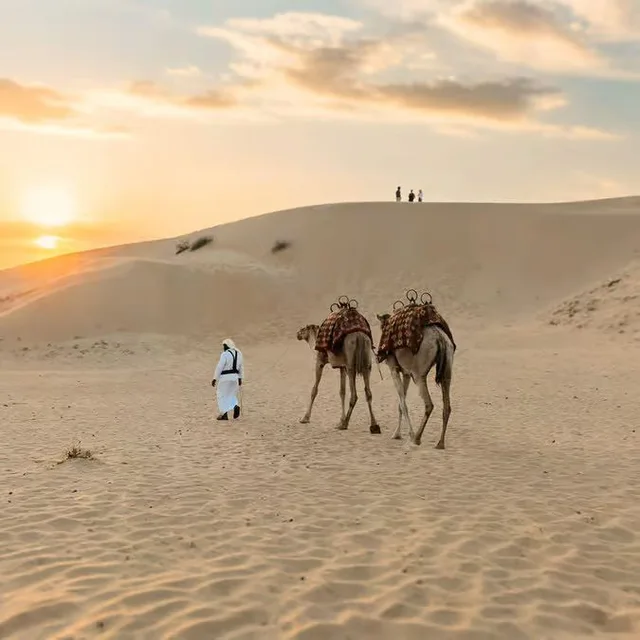 Abu Dhabi Desert Safari Extension: Camel Ride, BBQ & Camp Activities in Al Ain — experience image 3 of 4