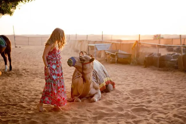 Dubai Sunrise Hot Air Balloon with Breakfast & Camel Ride in Dubai — experience image 11 of 18