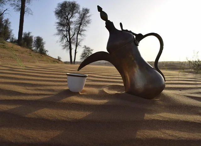 The Dunes Ras Al Khaimah Desert Safari with BBQ Dinner in Ras Al-Khaimah — experience image 3 of 5