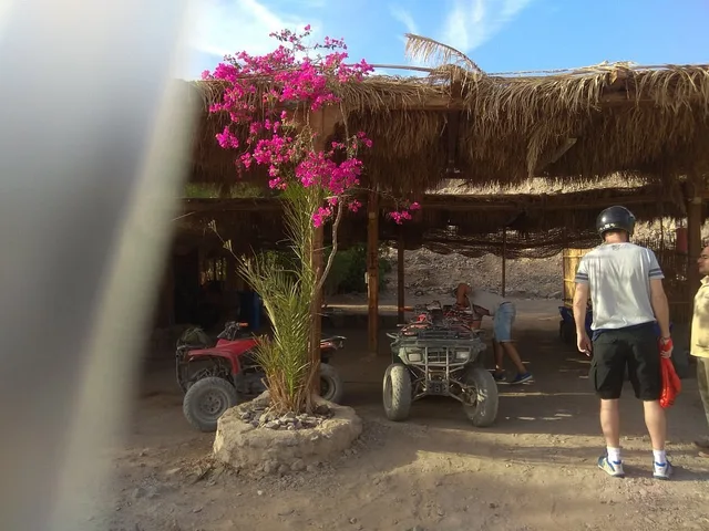 Taba Quad Bike Safari: Desert Tracks & Tea in Taba — experience image 6 of 22