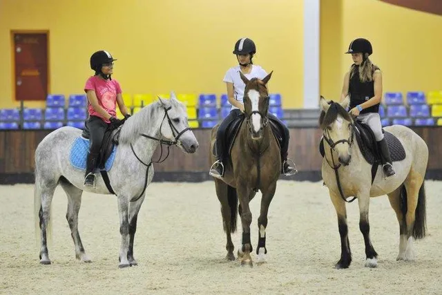 Al Forsan Horse Riding Abu Dhabi: 20-Minute Ride in Abu Dhabi — experience image 5 of 9