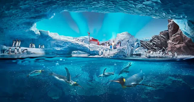 SeaWorld Abu Dhabi Tickets: Single-Day General Admission in Abu Dhabi — experience image 7 of 19