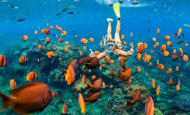 Ras Mohammed Bus Tour: Mangroves, Magic Lake & Reef in Sharm El Sheikh — experience image 25 of 31