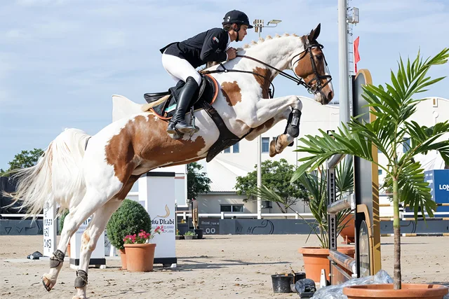 Al Forsan Horse Riding Abu Dhabi: 20-Minute Ride in Abu Dhabi — experience image 6 of 9