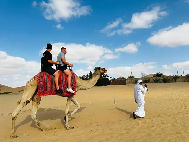 Abu Dhabi Private Desert Safari: Camel Ride & Sandboarding in Abu Dhabi — experience image 13 of 16