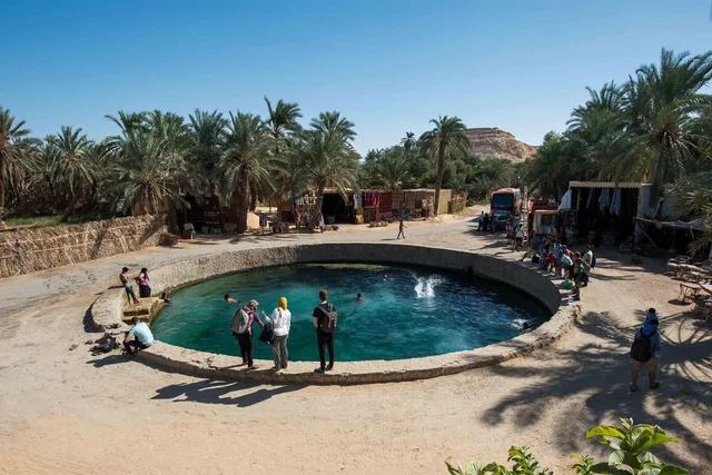 Private Siwa Oasis Day Tour: Salt Lakes & Heritage in Siwa — experience image 20 of 77