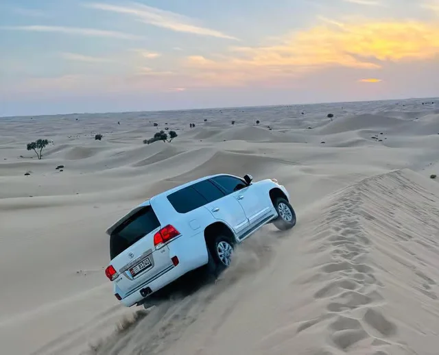 Abu Dhabi Private Desert Safari: Camel Ride & Sandboarding in Abu Dhabi — experience image 15 of 16