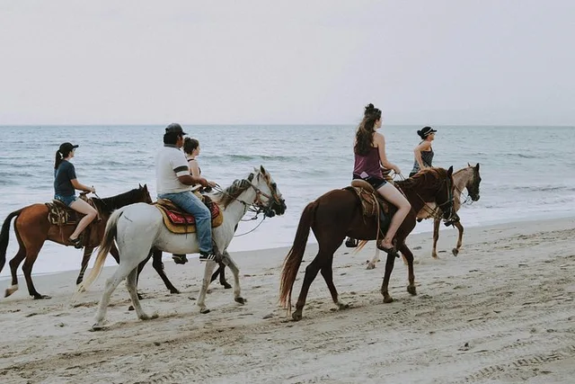 Doha Desert Horse Riding with Instructor & Transfers in Doha — experience image 4 of 8