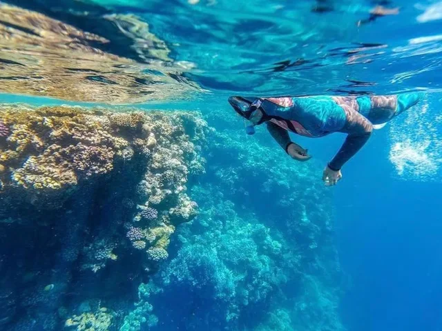 Ras Mohammed Bus Tour: Mangroves, Magic Lake & Reef in Sharm El Sheikh — experience image 29 of 31