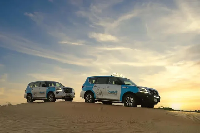 Dubai Evening Desert Safari with Camel Ride & Stargazing in Dubai — experience image 17 of 17