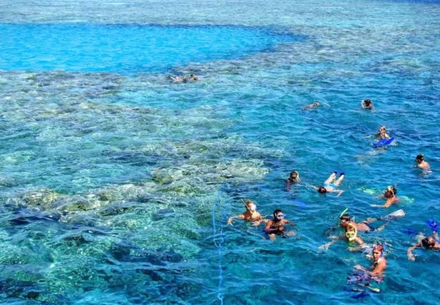 Tiran Island Snorkeling Cruise from Sharm with Lunch in Sharm El Sheikh — experience image 4 of 13