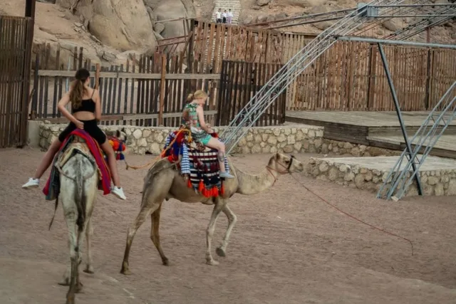 Sharm Desert Arabian Night Dinner & Show in Sharm El Sheikh — experience image 16 of 23