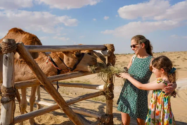 Dubai Desert Safari: Camel Ride, Sandboarding & Buggy Options in Dubai — experience image 10 of 26