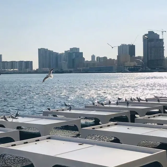 Ajman Half-Day City Tour: Museum, Corniche & Heritage in Sharjah — experience image 7 of 27