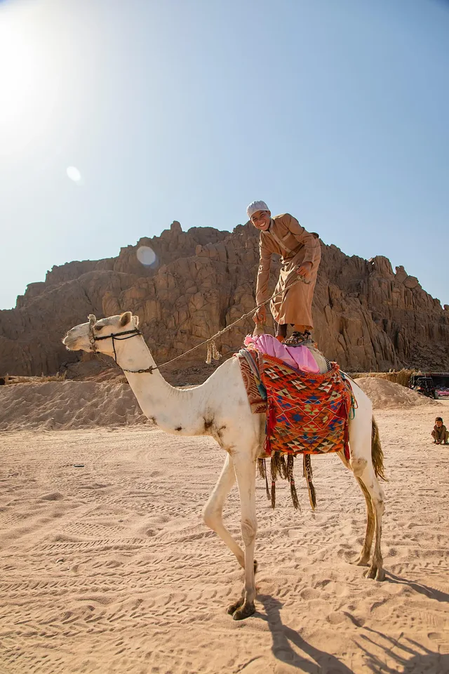 Sharm Polaris Buggy Safari & Camel Ride Enquiry in Sharm El Sheikh — experience image 3 of 11