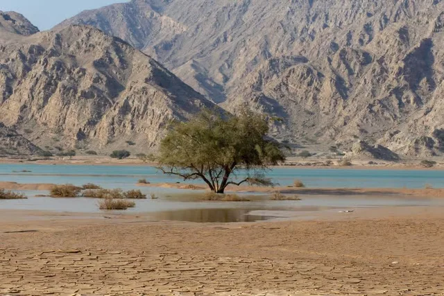 Private Jebel Jais Mountain Tour from Ras Al Khaimah in Ras Al-Khaimah — experience image 6 of 12