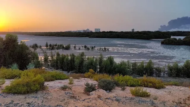 Ajman Half-Day City Tour: Museum, Corniche & Heritage in Sharjah — experience image 3 of 27