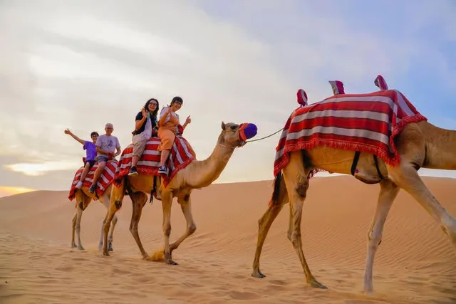 Dubai Desert Safari: Camel Ride, Sandboarding & Buggy Options in Dubai — experience image 20 of 26