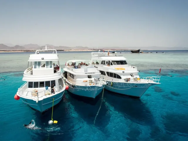 Tiran Island Snorkeling Cruise from Sharm with Lunch in Sharm El Sheikh — experience image 5 of 13
