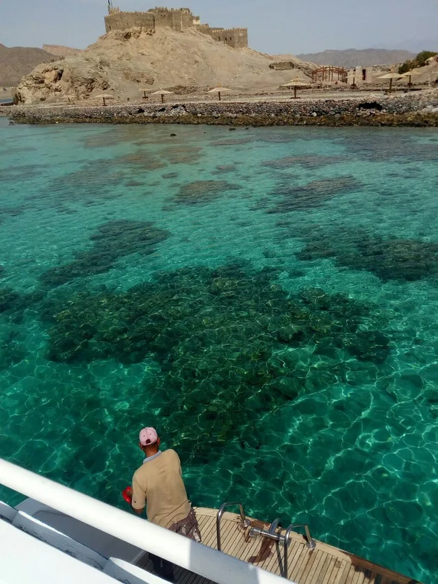 Pharaoh’s Island Snorkeling Tour from Taba with Lunch in Taba — experience image 2 of 17