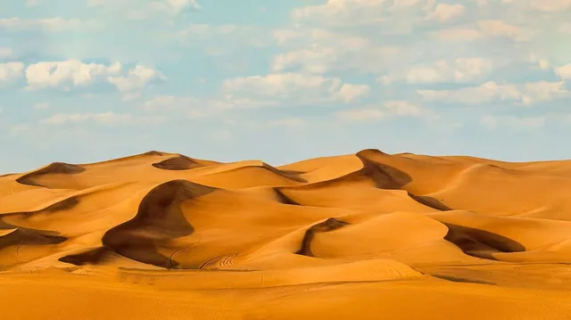 Dubai Red Dunes Desert Safari: Camel Ride & Sandboarding in Sharjah — experience image 10 of 24