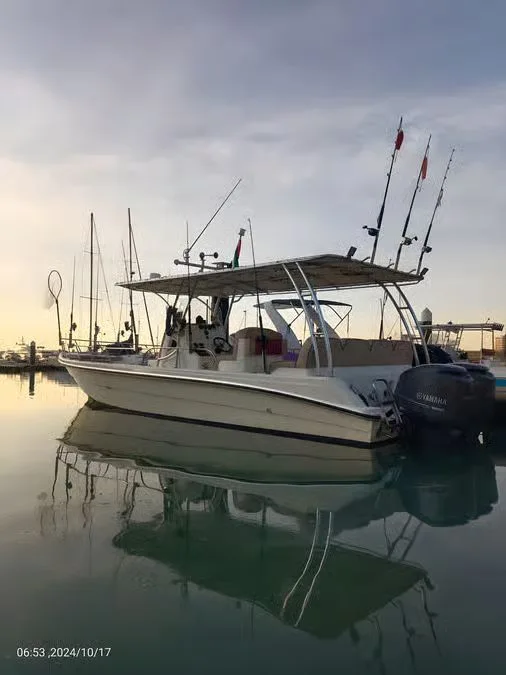 Private Coastal Cruise Ras Al Khaimah with Soft Drinks in Ras Al-Khaimah — experience image 4 of 5