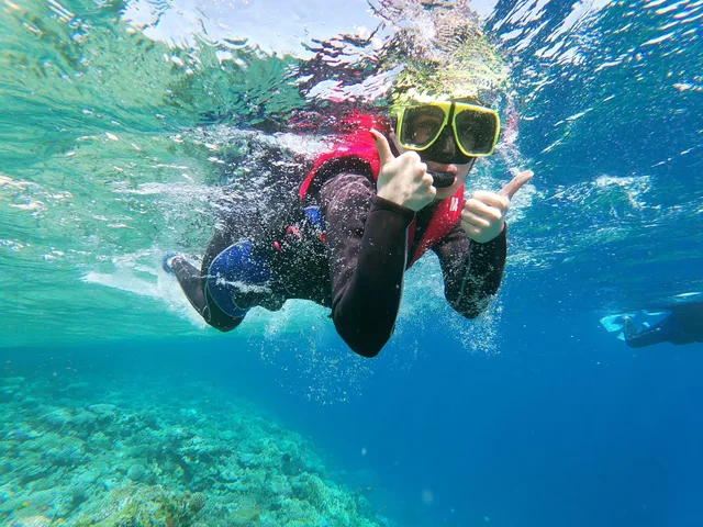 Ras Mohammed & White Island Snorkeling Tour from Sharm in Sharm El Sheikh — experience image 22 of 41