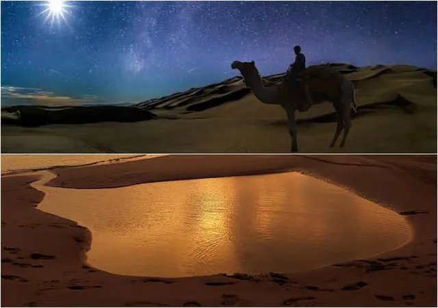 Doha Night Desert Safari: Dunes, Camel Ride & Stargazing experience in Doha
