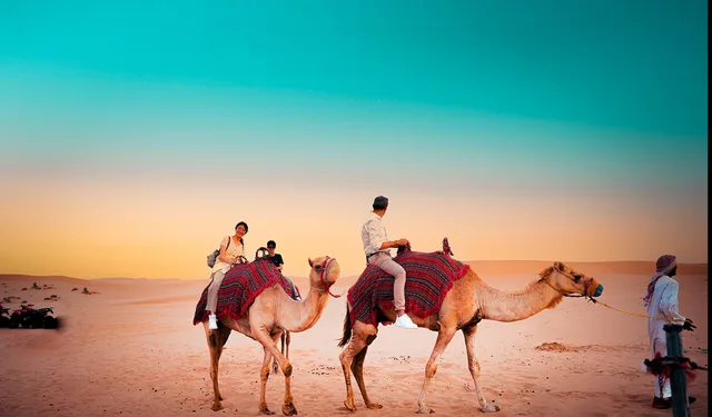 Abu Dhabi Evening Desert Safari with BBQ Dinner & Shows in Abu Dhabi — experience image 18 of 19