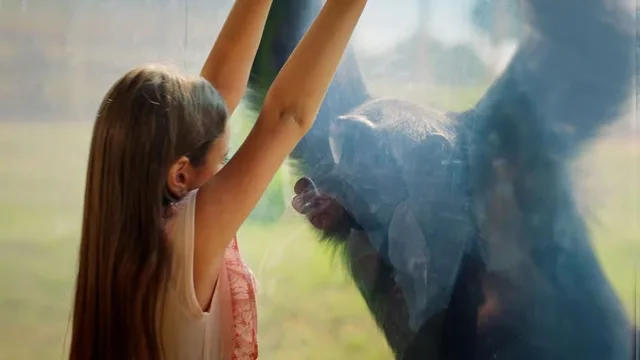 Dubai Safari Park Tickets: Park Pass & Explorer Safari Bundle in Dubai — experience image 3 of 16