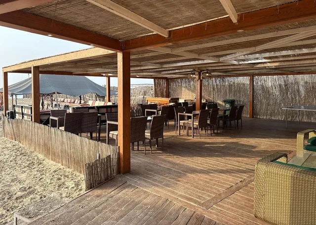 Doha Overnight Desert Safari with BBQ Dinner & Breakfast in Doha — experience image 2 of 20