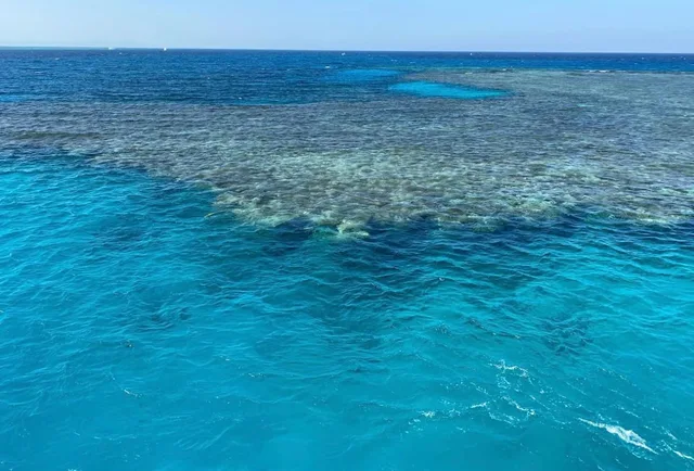 Taba to Sharm Glass-Bottom Boat: Reef Viewing in Taba — experience image 4 of 17