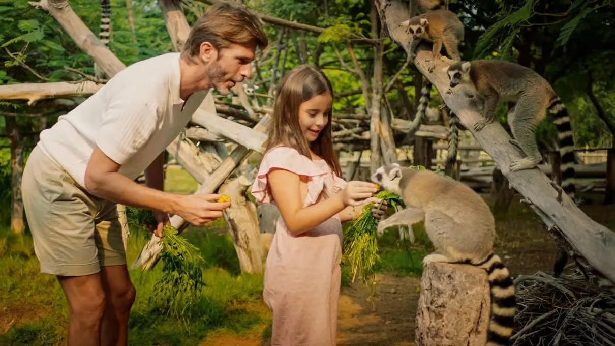 Dubai Safari Park Tickets: Park Pass & Explorer Safari Bundle experience in Dubai
