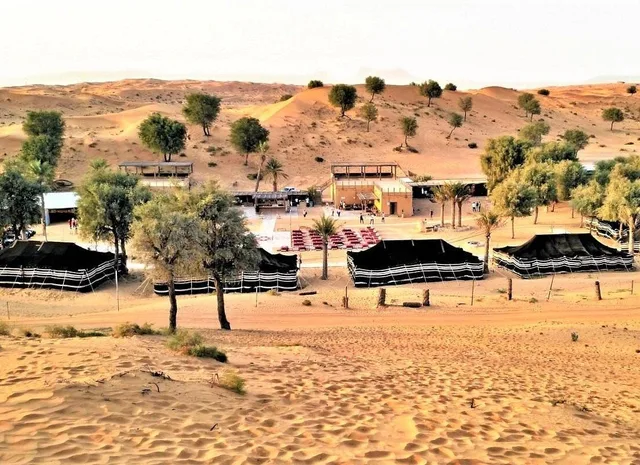 Ras Al Khaimah Evening Desert Safari with BBQ at Bedouin Oasis in Ras Al-Khaimah — experience image 13 of 15