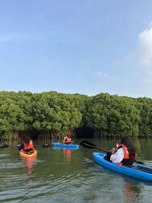 Al Thakira Mangrove Kayaking Tour from Doha in Doha — experience image 10 of 11