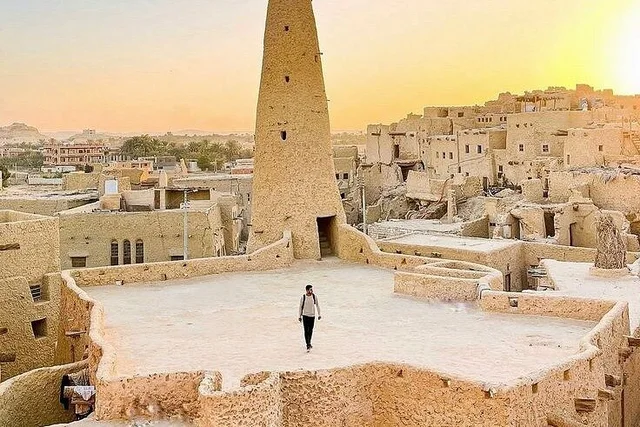 Private Siwa Oasis Day Tour: Salt Lakes & Heritage in Siwa — experience image 68 of 77