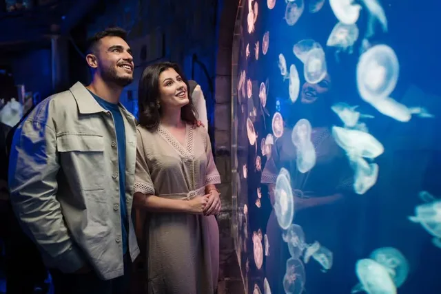 Dubai Aquarium & Underwater Zoo Tickets: Silver, Gold & Encounters in Dubai — experience image 2 of 14