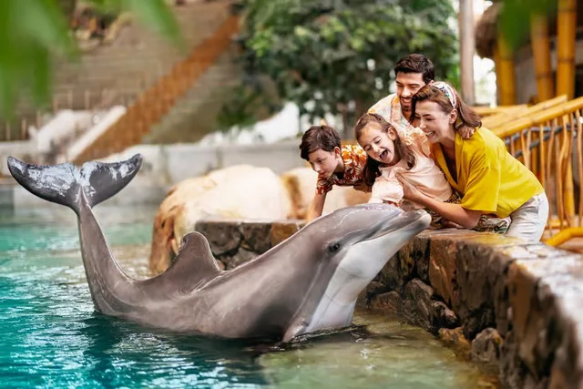 SeaWorld Abu Dhabi Tickets: Single-Day General Admission in Abu Dhabi — experience image 18 of 19