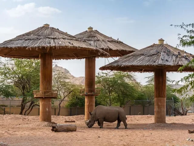 Al Ain Zoo Tickets: General Admission, Safari Truck & Private SUV in Al Ain — experience image 3 of 23