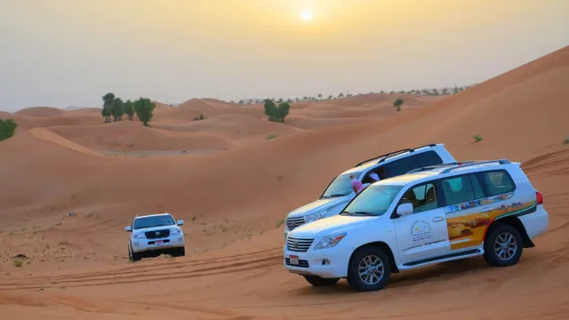 Abu Dhabi Desert Safari Extension: Camel Ride, BBQ & Camp Activities experience in Al Ain