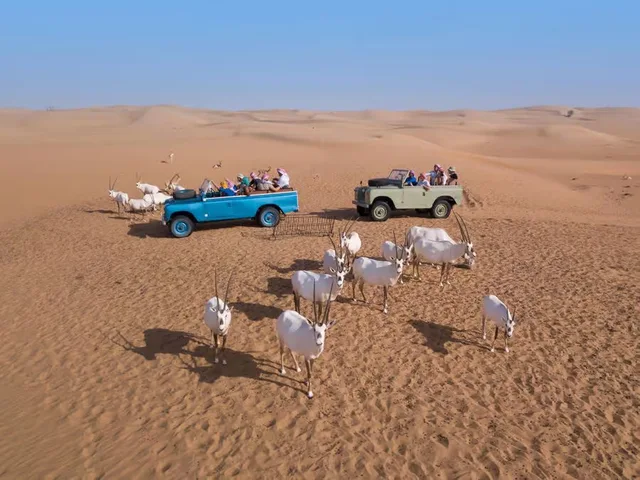 Dubai Heritage Desert Safari by Vintage Land Rover with Dinner in Dubai — experience image 12 of 26
