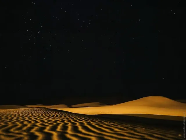 Doha Night Desert Safari: Dunes, Camel Ride & Stargazing in Doha — experience image 2 of 11