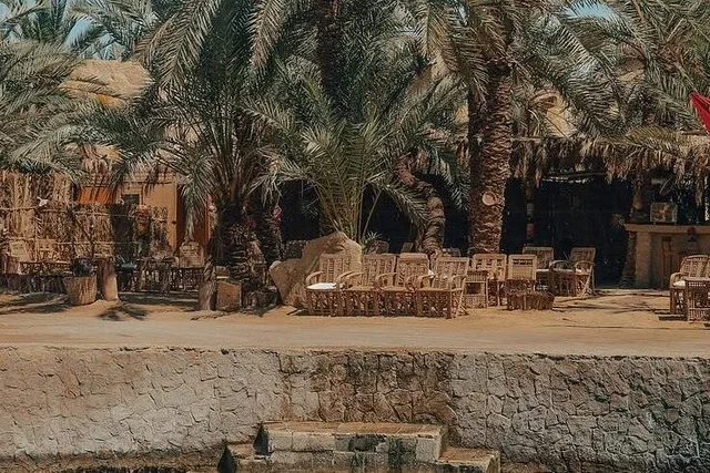 Private Siwa Oasis Day Tour: Salt Lakes & Heritage in Siwa — experience image 49 of 77