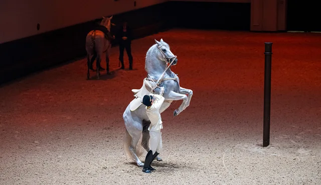 Furusiyya ADREA Show Abu Dhabi: Return to Origins Tickets in Abu Dhabi — experience image 6 of 13