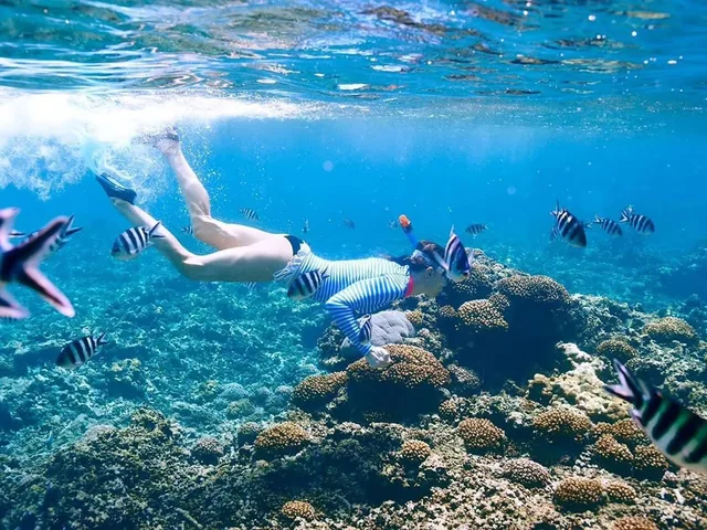 Ras Mohammed & White Island Snorkeling Tour from Sharm in Sharm El Sheikh — experience image 40 of 41