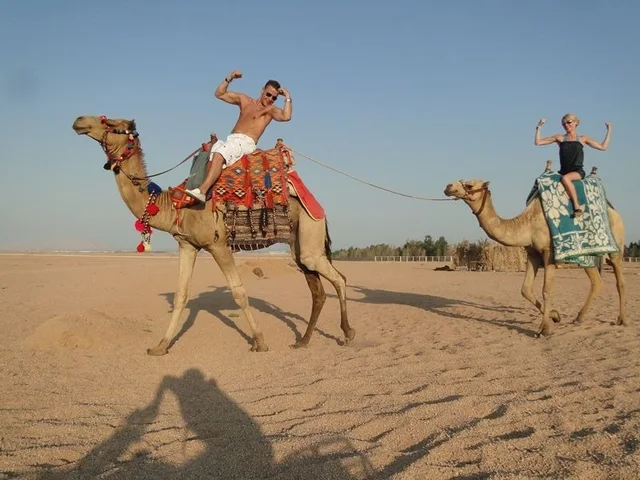 Sharm Camel Ride & Bedouin Dinner Desert Safari in Sharm El Sheikh — experience image 7 of 14