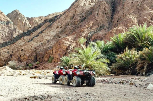 Coloured Canyon Jeep Safari from Taba with Lunch in Taba — experience image 17 of 20