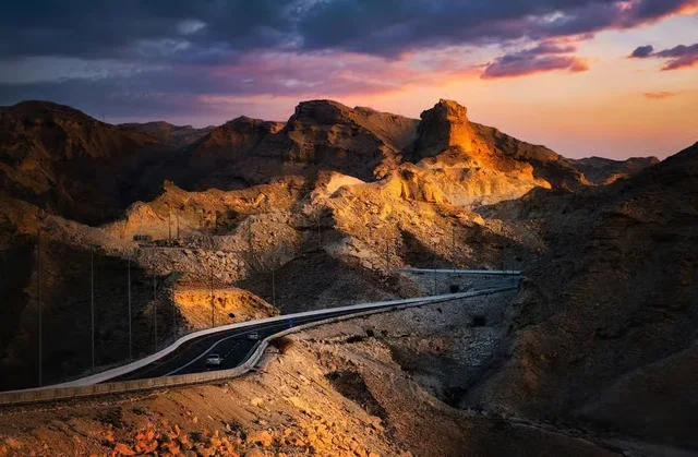 Al Ain Zoo Tickets: General Admission, Safari Truck & Private SUV in Al Ain — experience image 9 of 23
